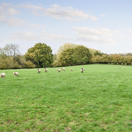 Farmhouse Garden Shepherds Hut Thursley Buitenkant foto