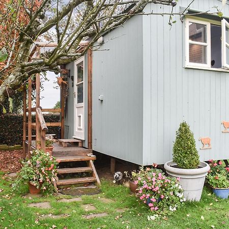 Farmhouse Garden Shepherds Hut Thursley Buitenkant foto